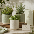 Verdelle Grove™ Embossed Ceramic Herb Planter Set