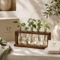 Verdelle Grove™ Wooden Glass Propagation Station